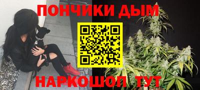 стаф Краснодар