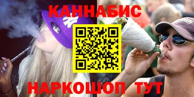 стаф Краснодар