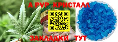 стаф Краснодар