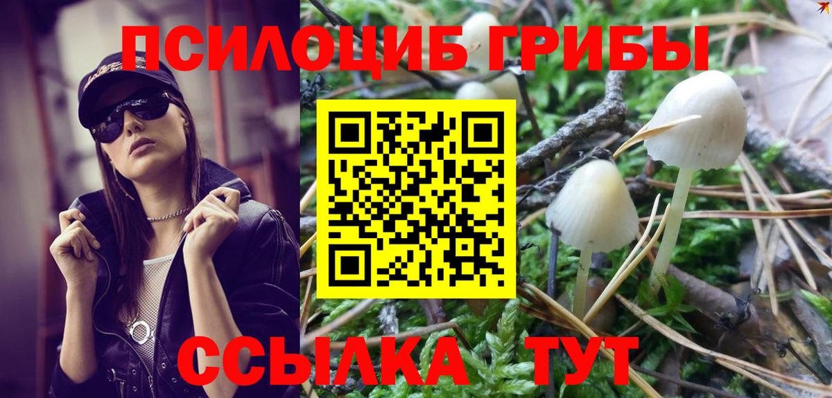 Волжский  Псилоцибиновые грибы прущие грибы  Вход с VPN 